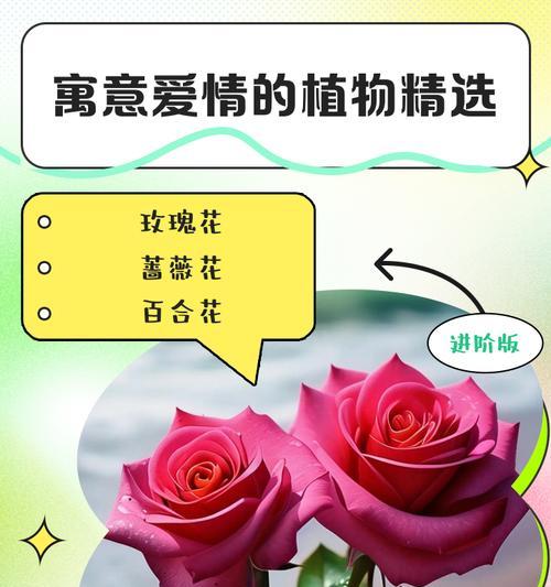 哪种花象征着爸爸的爱情？
