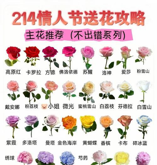 情人节送荔枝花的寓意是什么？荔枝花在情人节的意义？