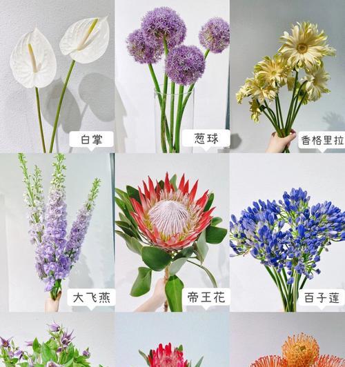 寓意爱情降临的花有哪些？它们象征着什么？