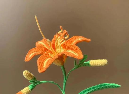 萱草花的文化含义是什么？萱草花在文化中的寓意有哪些？