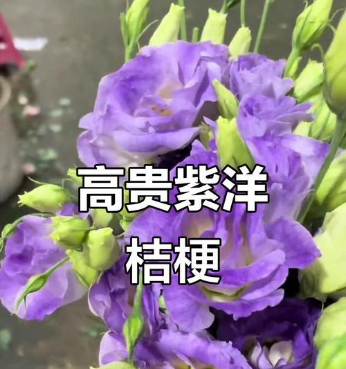 紫色花送对象有什么寓意和象征？