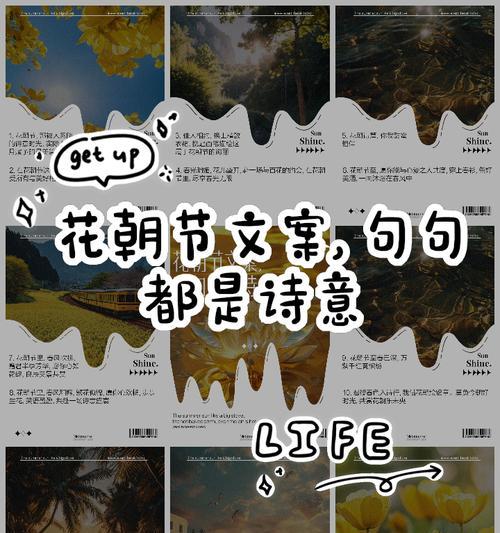 花朝节中各种花的寓意是什么？