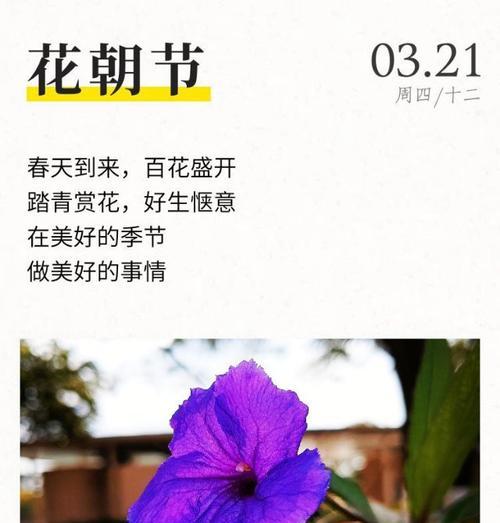 花朝节中各种花的寓意是什么？