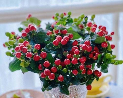 手捧花中的红豆代表什么？红豆在手捧花中的寓意是什么？