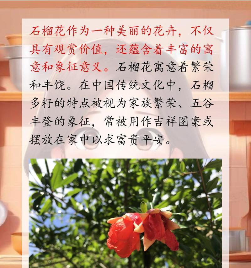 花有哪些浪漫的寓意和象征？