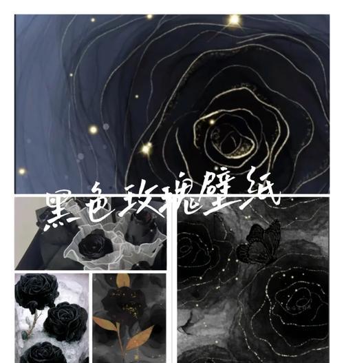 黑色花夹玫瑰花的寓意是什么？