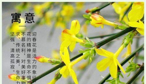 哪种花象征着色欲强烈的爱？色欲强烈爱的花卉代表是什么？