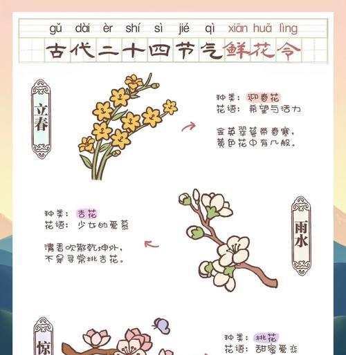 熟节花的花语是什么？