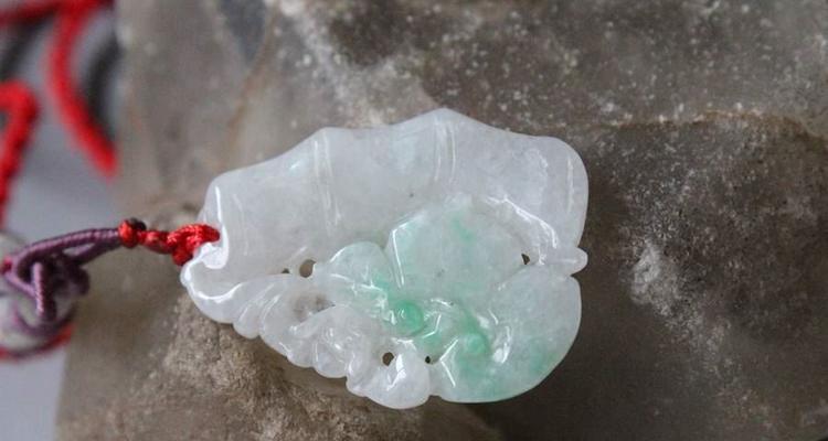 竹节花有哪些寓意和象征意义？