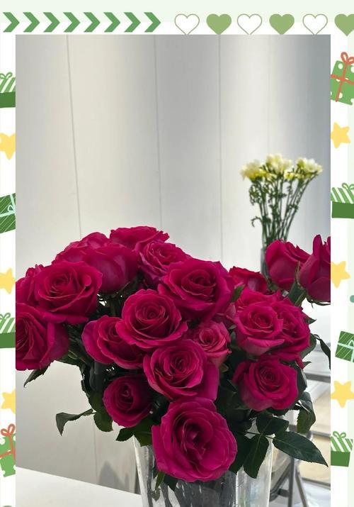玫瑰花在文化中象征什么？不同文化中玫瑰花的象征意义？