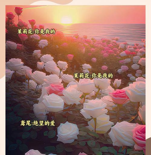 什么花语最不浪漫？为何被认为是这样？
