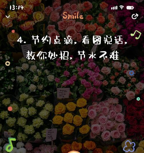什么花寓意节约用水？如何通过花表达节约用水的理念？