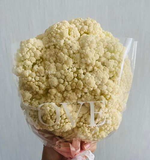 母亲节送小熊花的寓意是什么？小熊花象征着什么？