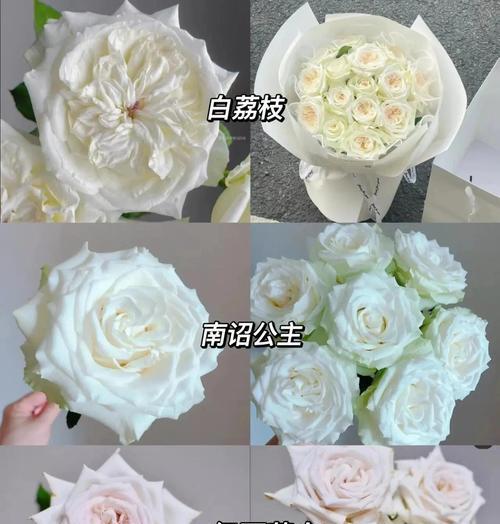 三颗白色玫瑰花代表什么寓意？