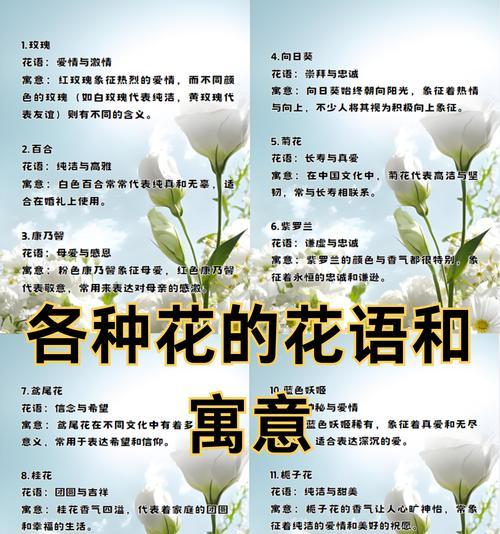 三颗白色玫瑰花代表什么寓意？