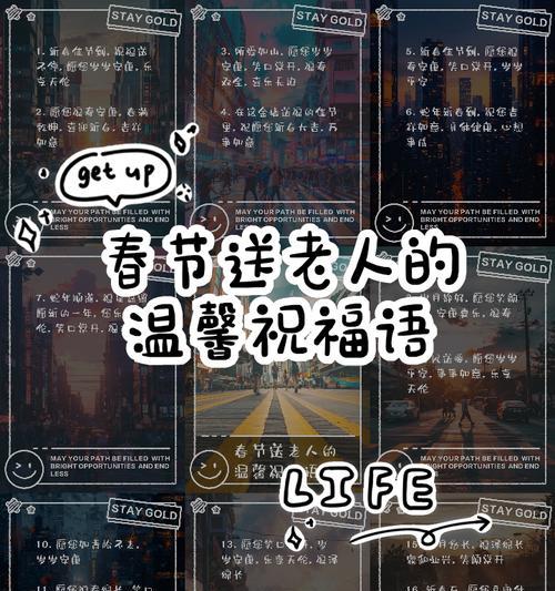 送老人什么花寓意好？如何选择祝福语表达孝心？