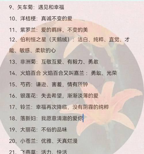 花的颜色有哪些寓意？它们各自代表什么？