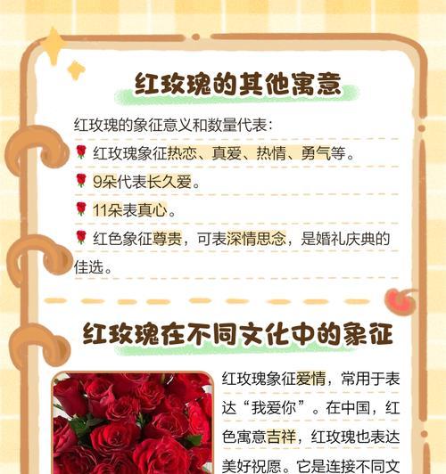 七夕节送红玫瑰有何寓意？