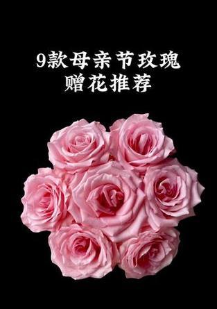 粉色花寓意美好的诗句有哪些？粉色花卉在诗句中的寓意是什么？