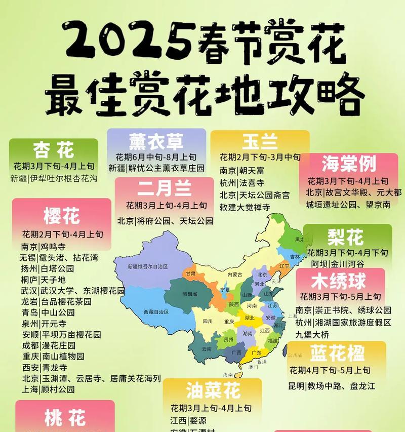 赏花为何寓意幸福？