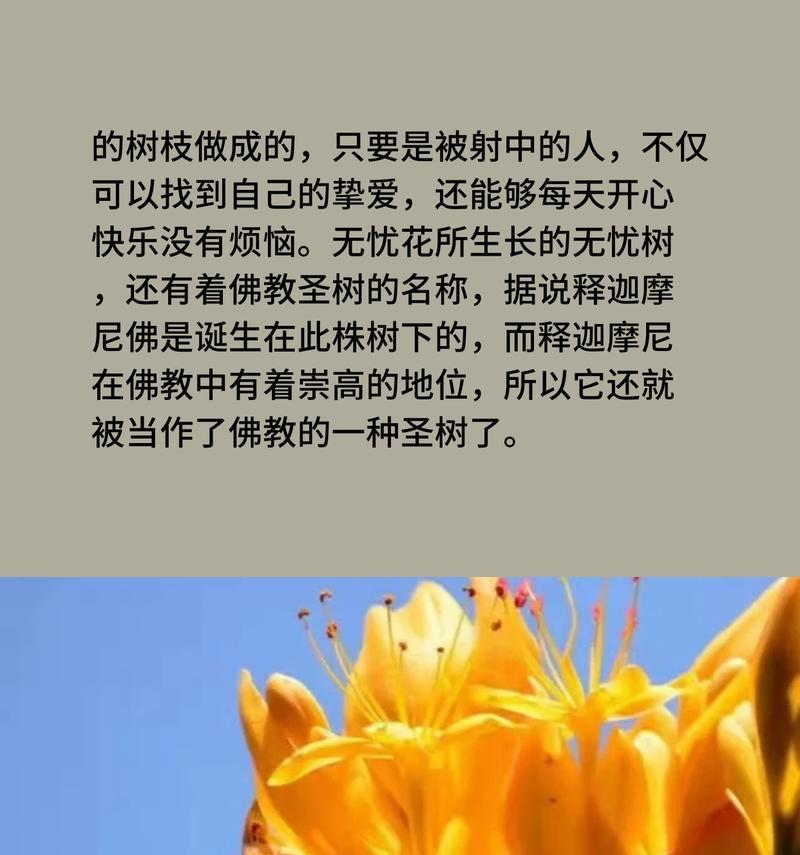 时色花语是什么意思？时色花语有哪些？