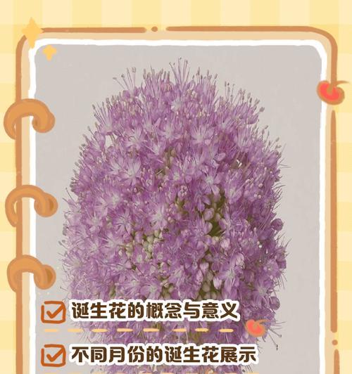 花的颜色没有特定含义吗？每种颜色的花代表什么？
