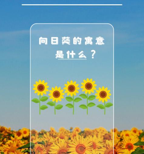 青色的花通常象征着什么？
