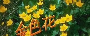 泰戈尔金色花标题有何深层含义？