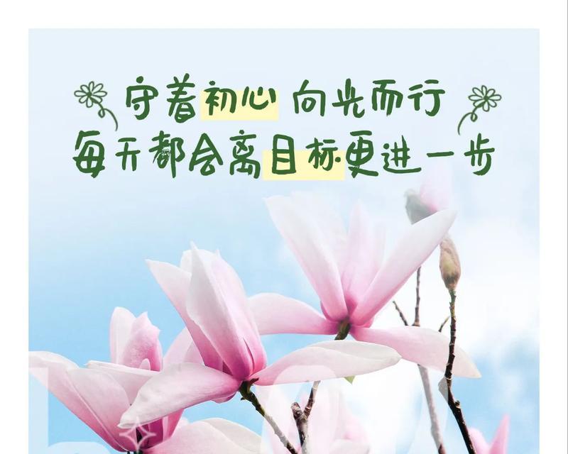 哪种花代表平庸的爱情？平庸爱情的花语是什么？