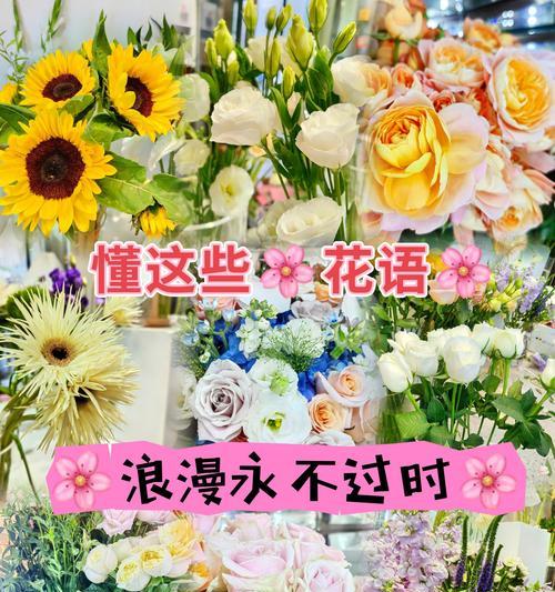 如何用花表达对老婆的浪漫？老婆专属花语有哪些？