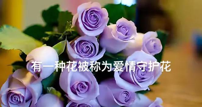 如何用花表达对老婆的浪漫？老婆专属花语有哪些？