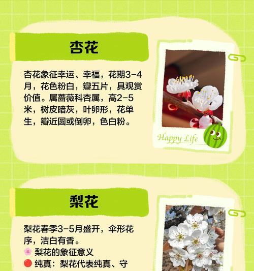 五色花代表什么？五色花语有哪些？
