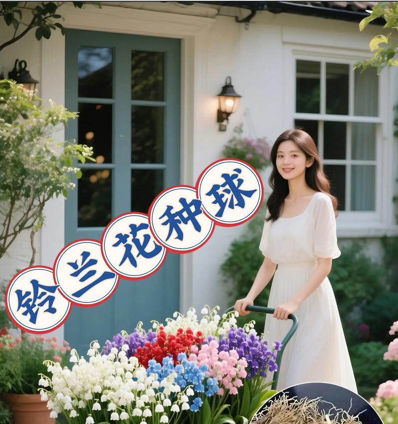 好运花象征什么？它的花语有哪些？