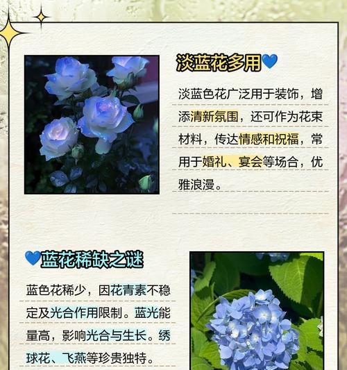 哪种蓝色的花寓意美好？