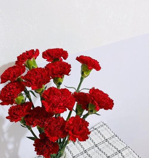 红色捧花传递什么情感？寓意是什么？