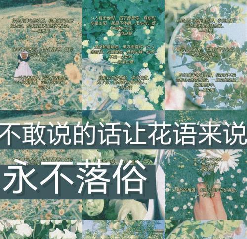 哪些花象征着快乐？快乐花语有哪些？