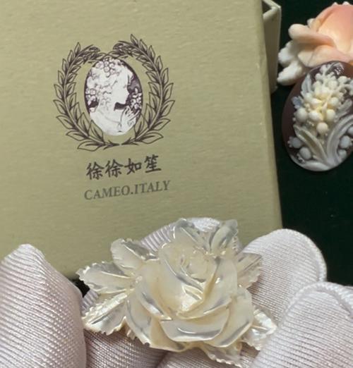 玫瑰花胸针不同颜色的含义是什么？