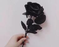 黑色玫瑰花发带代表什么？黑色玫瑰花发带的寓意是什么？