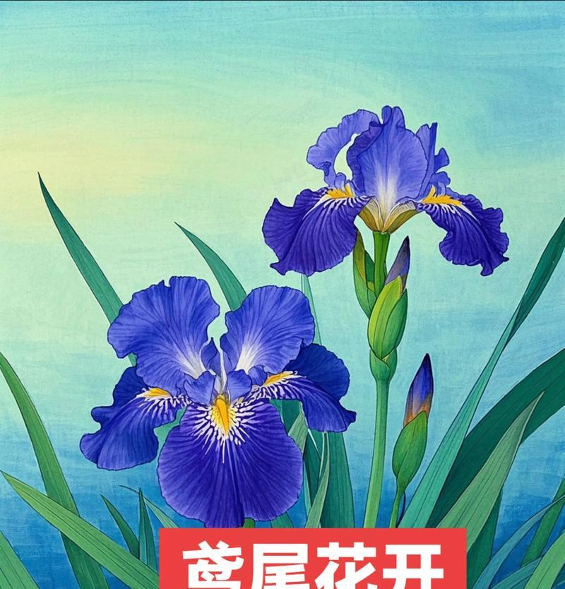 什么花寓意健康快乐和好运？