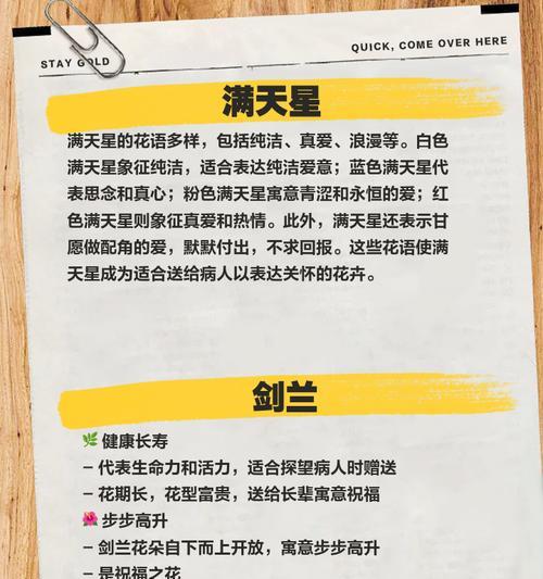 如何通过花语进行健康咨询？花语中有哪些健康相关的寓意？