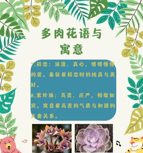 如何通过花语进行健康咨询？花语中有哪些健康相关的寓意？
