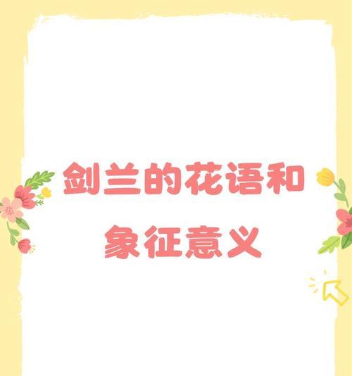 白色剑兰的花语是什么？剑兰花语有哪些含义？