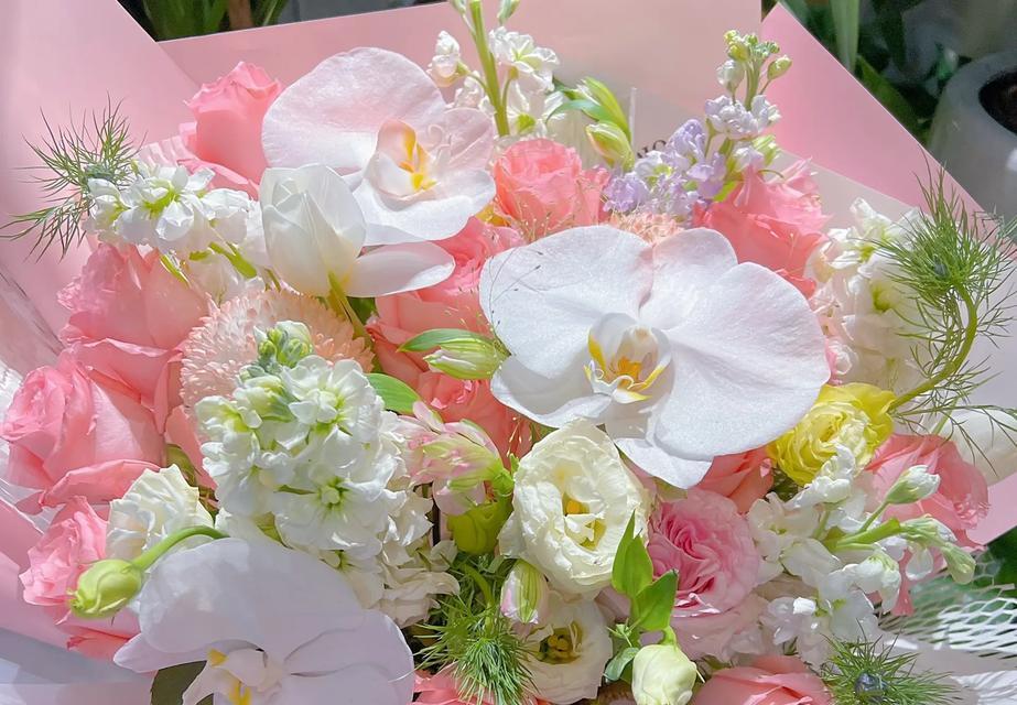 情人节送发财花的寓意是什么？发财花在情人节的意义？