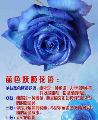 一支蓝色玫瑰花的意义是什么？蓝色玫瑰花的花语有哪些？