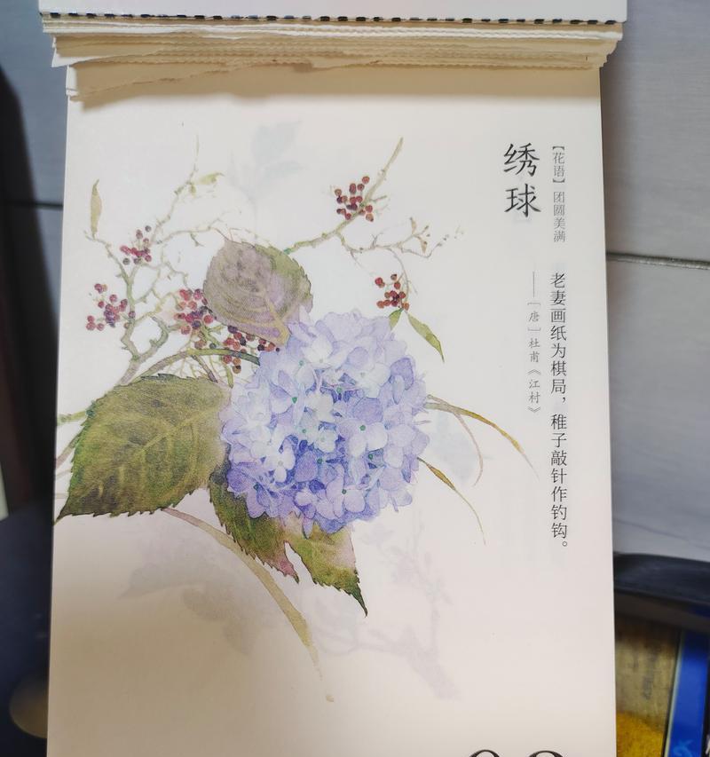 橘色绣球花的花语和寓意是什么？