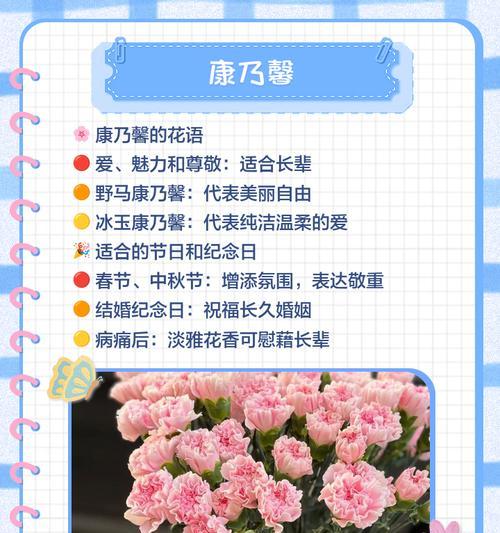 在节日送花时，如何选择寓意合适的花朵？
