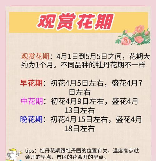 换花节的由来是什么？换花节有哪些特别的寓意？