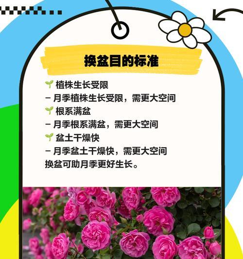 换花节的由来是什么？换花节有哪些特别的寓意？