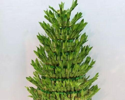 哪些花象征着节节高升？