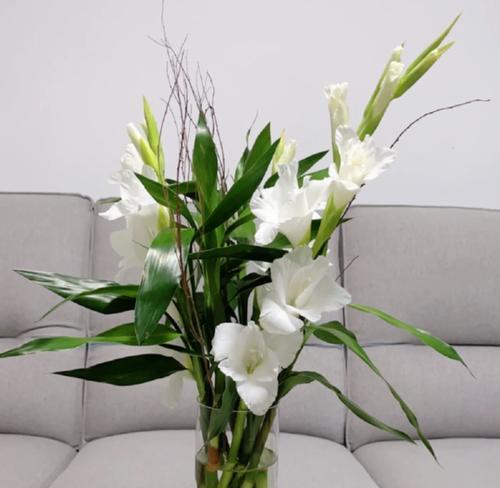 哪些花象征着节节高升？